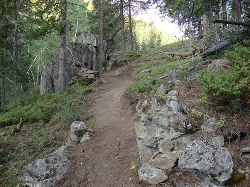 Smooth dirt singletrack curving through open lodgepole forest past a columnar rock outcrop, with placed stone edging along the trail