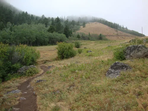 Narrow dirt singletrack curving through a grassy meadow toward a hillside partly hidden in low fog