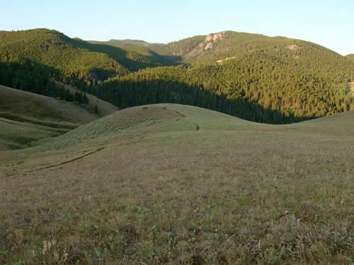 Golden evening light on rolling grassy ridges backed by conifer forest, with a faint singletrack traversing the hillside