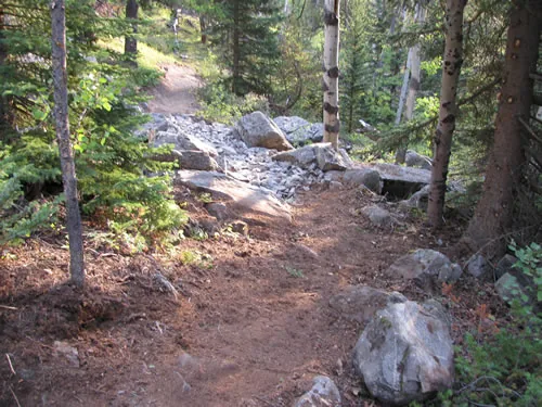 Dirt singletrack in dappled morning light passing from soft forest floor into a section of placed stone armoring, framed by conifers and aspen