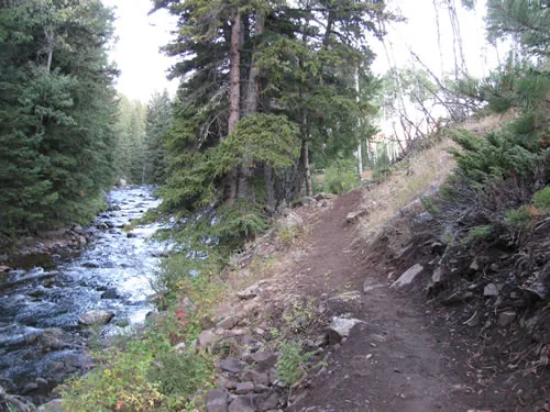 A narrow singletrack bench cut into a slope directly above a rocky whitewater creek beneath tall conifers