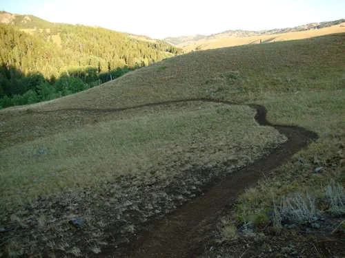 Freshly cut singletrack curving down a golden grassy hillside with forested slopes and a distant ridge in warm evening light