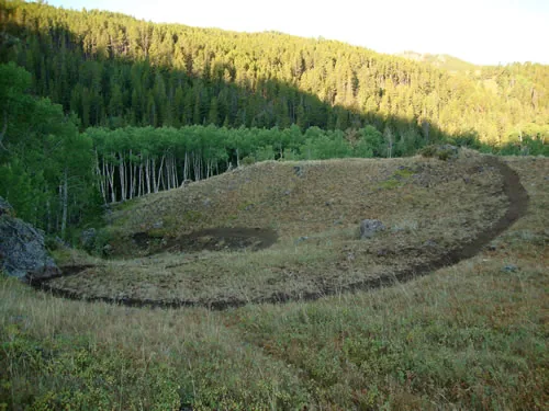 A long curving trail bench wrapping around a grassy bowl below a dense conifer and aspen hillside