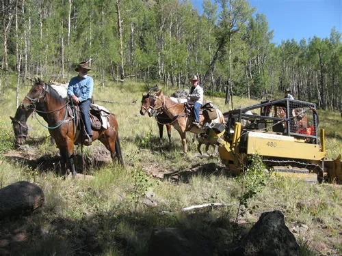 Two horseback riders stopped beside a yellow tracked trail dozer on a newly cut trail corridor through an aspen forest