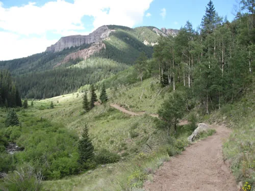 A freshly built trail bench curving along a hillside above a creek valley, with a rock cliff band and forested slopes rising behind it
