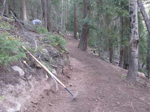 Hand tools leaning against the cutbank of a freshly benched trail in conifer forest, with crew members working further up the corridor