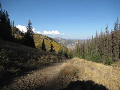 A trail traversing a high hillside under a big blue sky with cumulus clouds, autumn aspens and distant mountain ranges