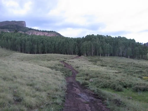 A trail winding up through sage and grass toward a band of aspens below a flat-topped mesa