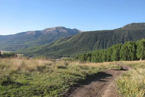 A trail curving across a grassy bench with a broad forested mountain rising beyond under a clear blue sky
