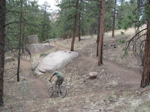 Mountain biker riding a newly built singletrack trail that curves down a pine-covered hillside past a large granite boulder