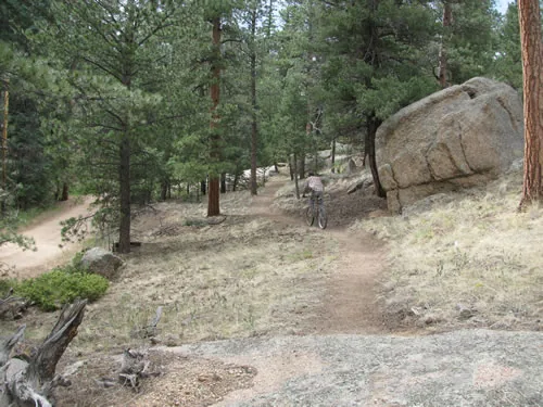 Mountain biker riding a forest singletrack past a large tilted granite boulder