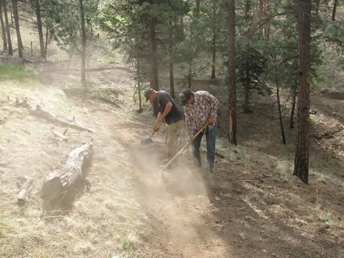 Two trail crew members shaping fresh trail tread with hand tools, raising a cloud of dust in a sunlit pine forest