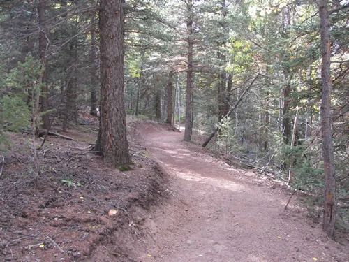 A newly built reddish-brown singletrack trail curves uphill through a dense evergreen forest