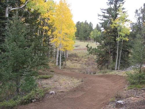 A wide dirt trail sweeps around a bend below golden aspens and dark evergreens