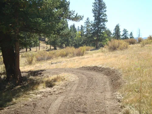 A wide newly cut trail curves through an open meadow of golden grass with scattered pines