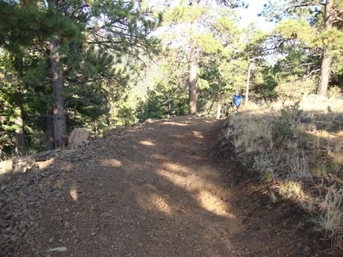 A freshly built dirt trail runs through ponderosa pines past a rocky outcrop, with a small figure in the distance