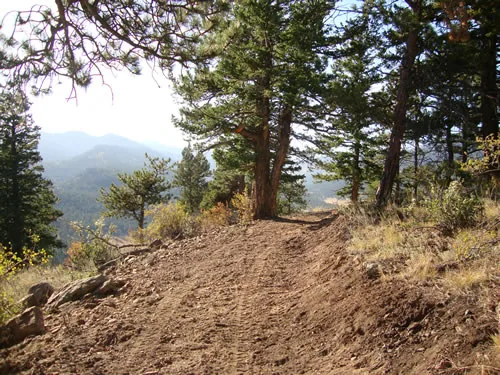 A freshly cut dirt trail runs along a ridge with a forested valley and distant mountains beyond