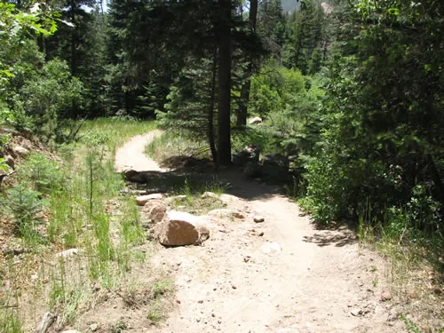 A singletrack trail curves in an S-shape down through green forest with granite rocks edging the tread