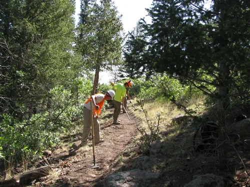 Two crew members in high-visibility vests work with hand tools along a freshly cut trail corridor through scrub oak