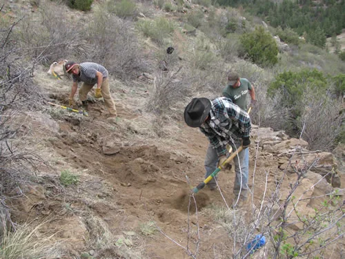 Three workers spread across a steep brushy hillside digging a new trail bench with hand tools
