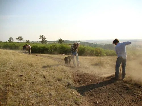 Trail crew raking a freshly cut corridor across a grassy ridge in low golden light, dust hanging in the air, with a dog nearby