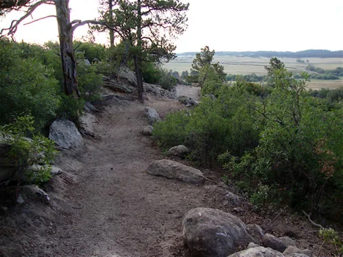 Wide dirt trail running along a rocky rim beneath pines, with distant farmland and low hills below