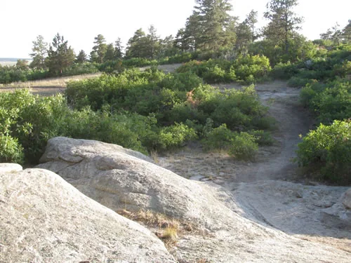Trail crossing a broad granite slab before dropping into shrubs, with pines on the skyline in evening light