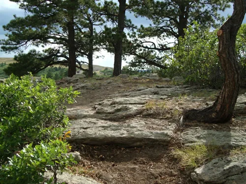 Faint trail crossing a flat bedrock slab beneath mature ponderosa pines in dappled light
