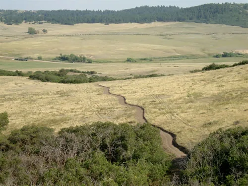 Narrow dirt singletrack curving in an S-shape through golden grassland above a wide green valley