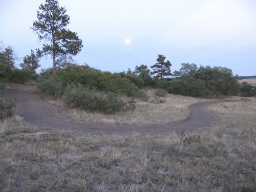 Trail curving around a low rise at dusk with a full moon low in a pale blue-grey sky above a pine