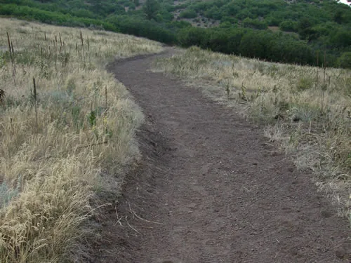 Freshly cut sinuous singletrack curving through pale golden grass toward a green scrub slope