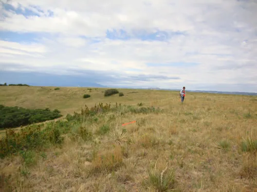 A person standing in an open grassy meadow beside orange flagging tape under a wide cloudy sky