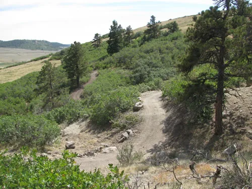 Trail descending a scrub-covered hillside and reappearing below as a switchback, framed by pines above a valley