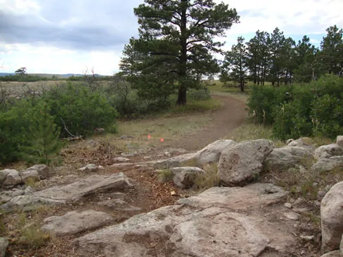 Granite boulders in the foreground with a dirt trail curving past a large ponderosa pine and orange survey flags