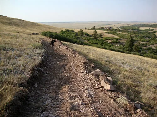 Newly cut rocky bench trail on a hillside with loose rock along the edge and a dog standing on the tread