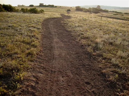 Newly cut dirt trail running through dry grass and yellow wildflowers in warm low light