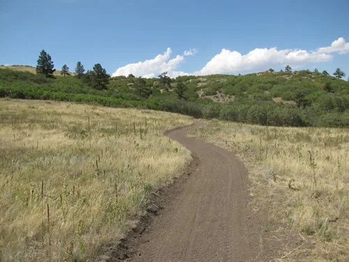 Freshly built dirt trail sweeping in a wide curve through dry grass toward scrub-covered hills under a blue sky