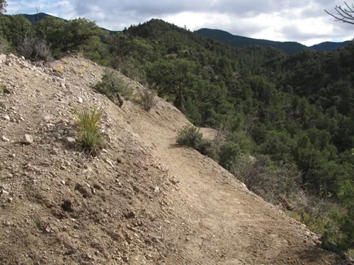 Freshly bench-cut trail traversing a steep hillside above a forested valley, with a mountain ridge and heavy clouds behind