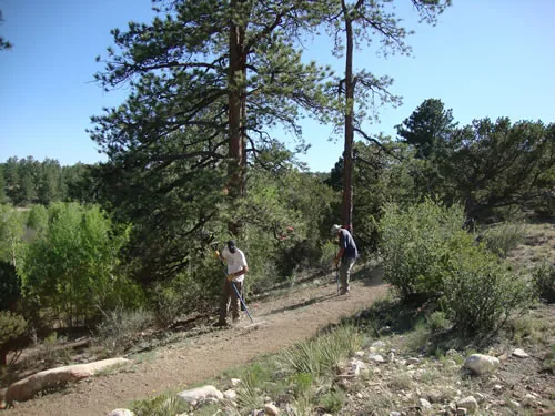 Two crew members with long-handled hand tools work along a newly cut singletrack bench in an open ponderosa pine forest