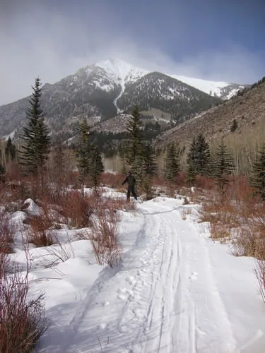 Ski tracks lead along a snow-covered trail through spruce and willow toward a lone bundled figure, with a large snow-covered peak partly wrapped in cloud rising behind