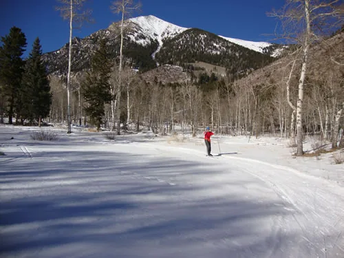 A wide groomed snow trail curves through bare aspens toward a snow-covered mountain, with a single distant skier in a red jacket on the track.