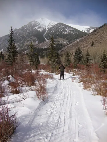 A lone skier seen from behind travels a packed snow trail toward a large cloud-capped mountain lined with spruce and red brush.