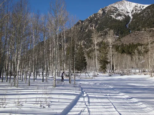 A groomed snow track runs through an open grove of bare aspens toward a steep snow-covered mountain under a clear blue sky.