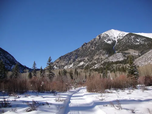 A packed snow trail leads across an open valley toward a snow-covered mountain peak under a clear blue sky, framed by conifers and red winter brush.