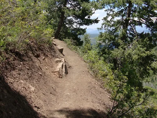 Narrow finished singletrack contours a steep slope through conifers, with a distant blue mountain ridge visible through a gap in the trees.