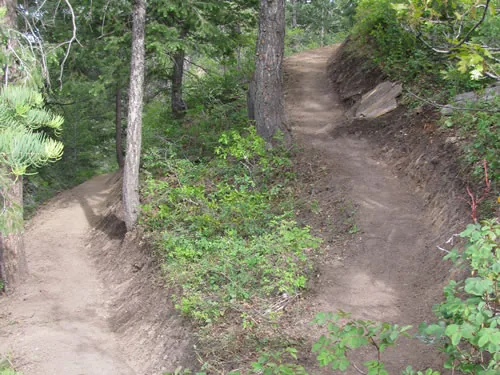 Switchback turn on a forest trail, with the upper and lower legs of tread visible on either side of a stand of trees