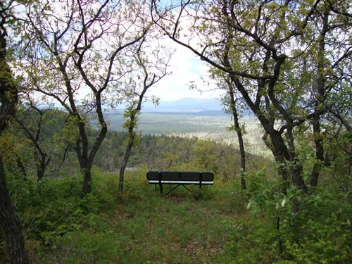 Bench at a trailside overlook framed by scrub oak, looking out over a broad basin toward distant peaks