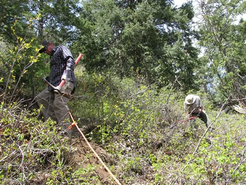 Two workers clearing dense brush on a slope along an orange flag line marking a trail alignment