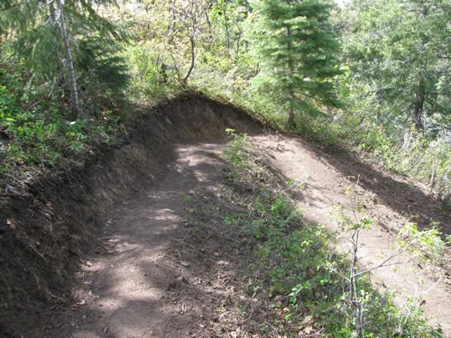 Freshly built bermed turn on a dirt trail, with the banked outside wall shaped up through dappled forest light