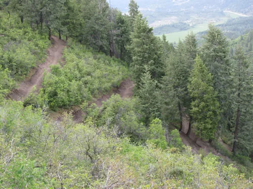 Multiple tiers of switchbacked dirt trail descending a steep evergreen hillside toward a valley floor